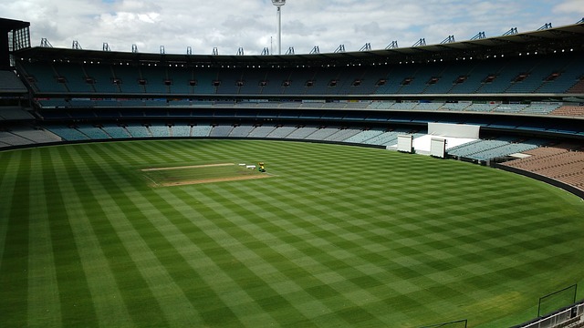 球比赛中的 球比赛中的