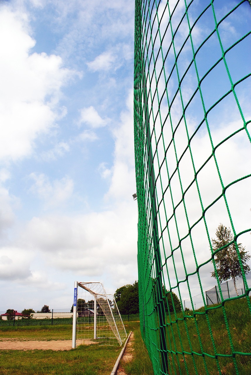 于如何在保 于如何在保