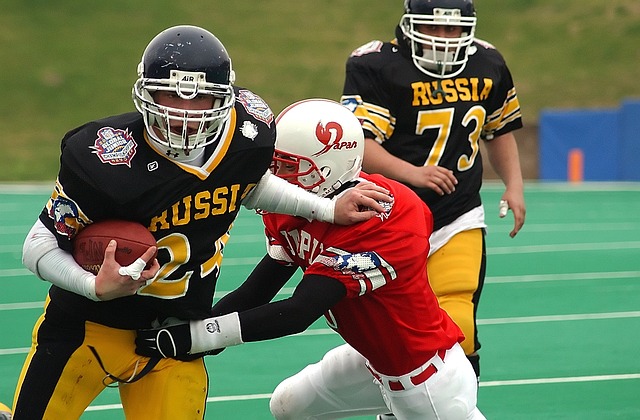 的象徵之一 的象徵之一