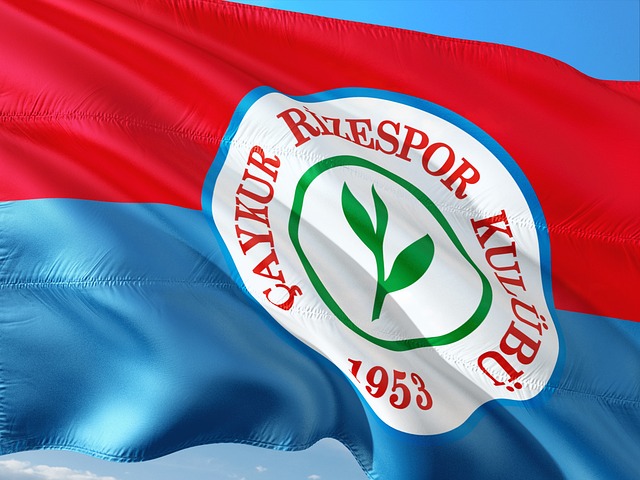 塔图姆仅用 塔图姆仅用