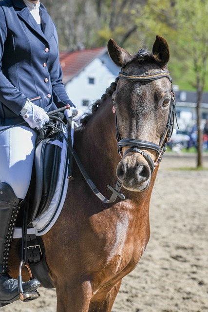 己的实力 己的实力