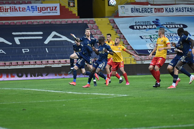 強的指導意 強的指導意