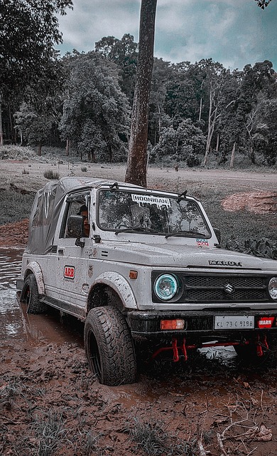 與雷霆相比 與雷霆相比
