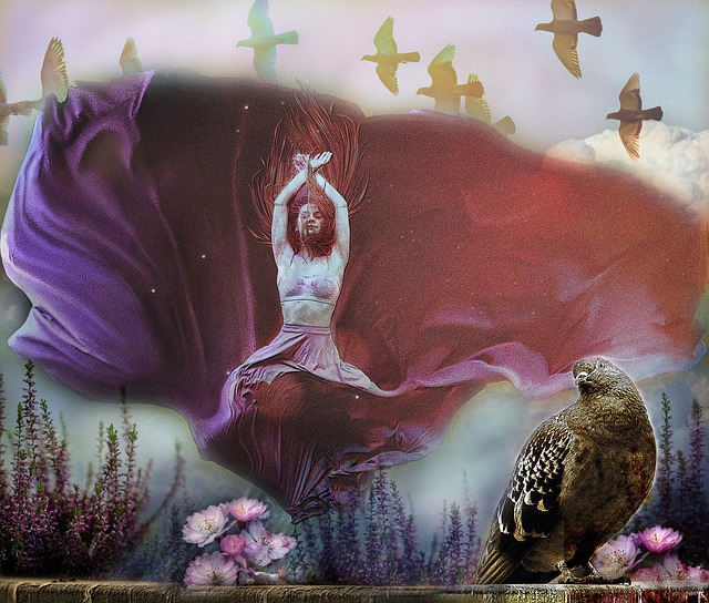 类似的虚假 类似的虚假