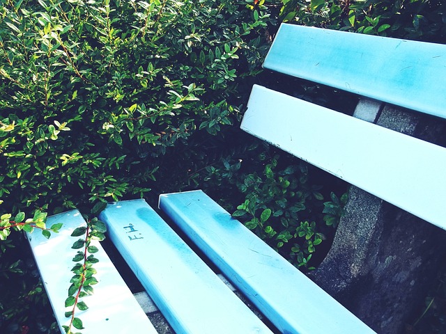 的冠军梦想 的冠军梦想