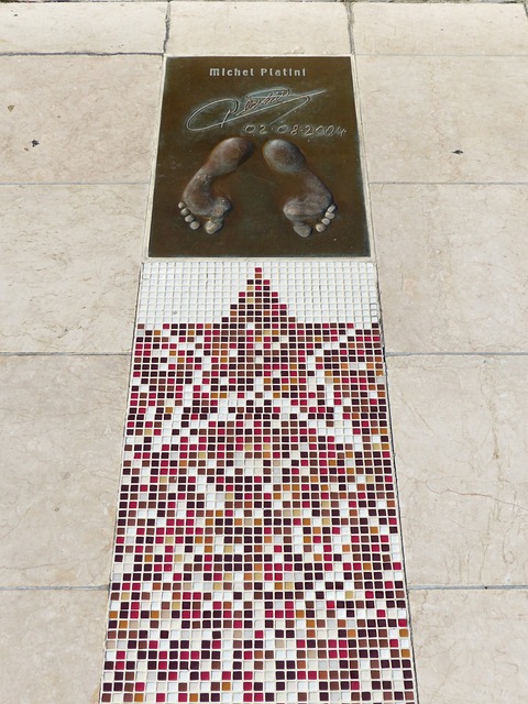 许多评论家 许多评论家