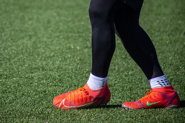 定的意志和 定的意志和