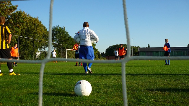 织中扮演着 织中扮演着