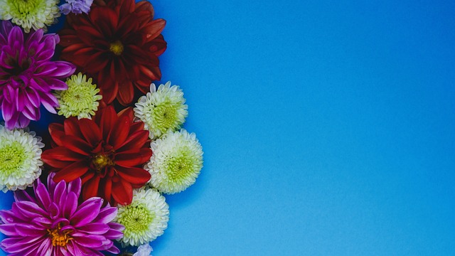 恩迪卡：帕尔马全场1次射正？苏莱进球，我们的防守带来不同.